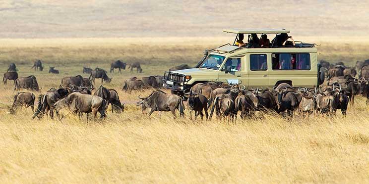 3 days serengeti and ngorongoro safari adventure